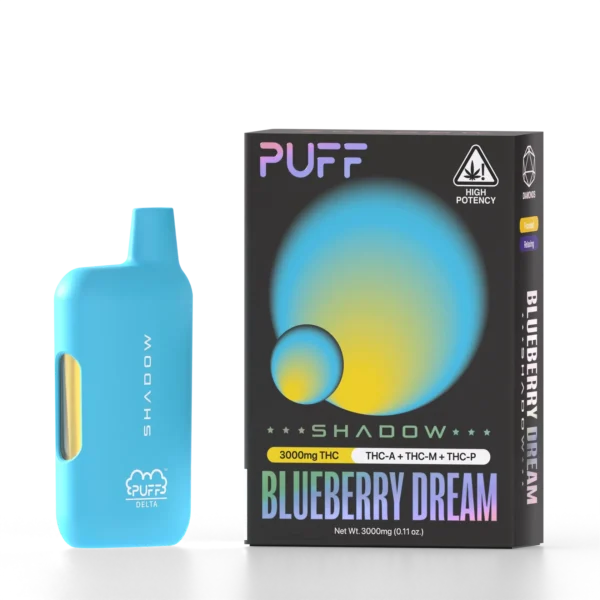 BLUEBERRY DREAM